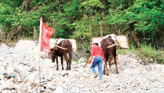 吉首骡子运输队